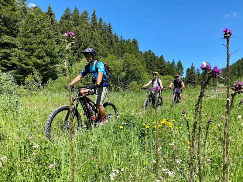 Famille en VTT sur les chemins de Méribel en été